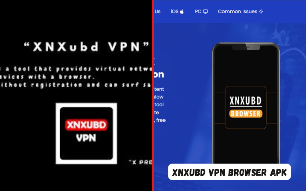 XNXUBD VPN Browser APK